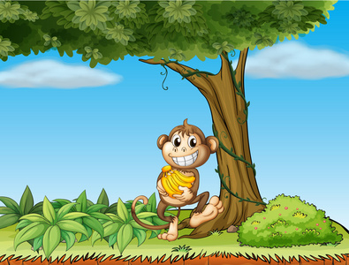 一只猴子与香蕉树与藤植物附近