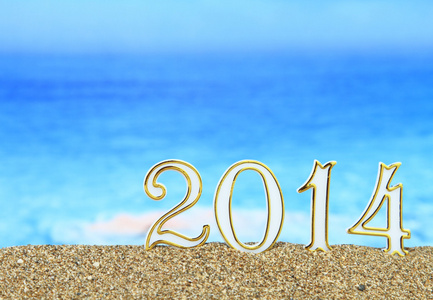 新的一年 2014年在海滩上