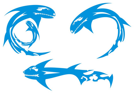 海洋装饰华丽的危险矢量蓝色鲨鱼照片