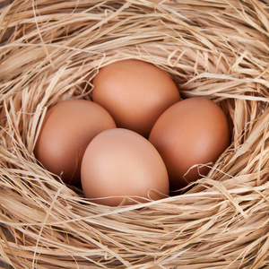宏的干草巢在农场的鸡只棕色鸡蛋的拍摄