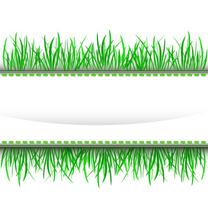 草外层绿色条纹帧矢量