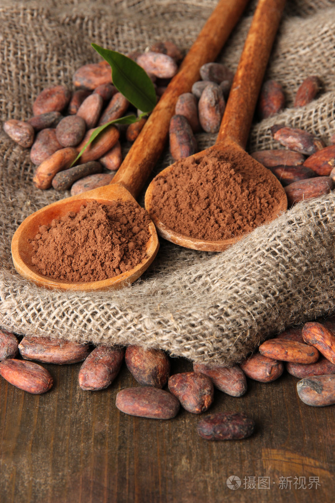 在勺子和木制背景上的可可豆可可粉