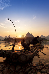 在中国使用 tra 捕鱼船与鸬鹚鸟,传统照片