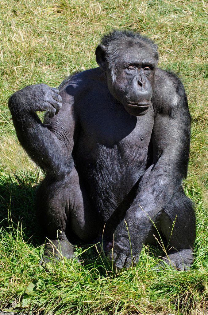 暂无图片作者lucidwaters新媒体授权标准授权扩展授权如何选择jpg大