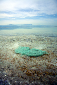 死海浅水水域