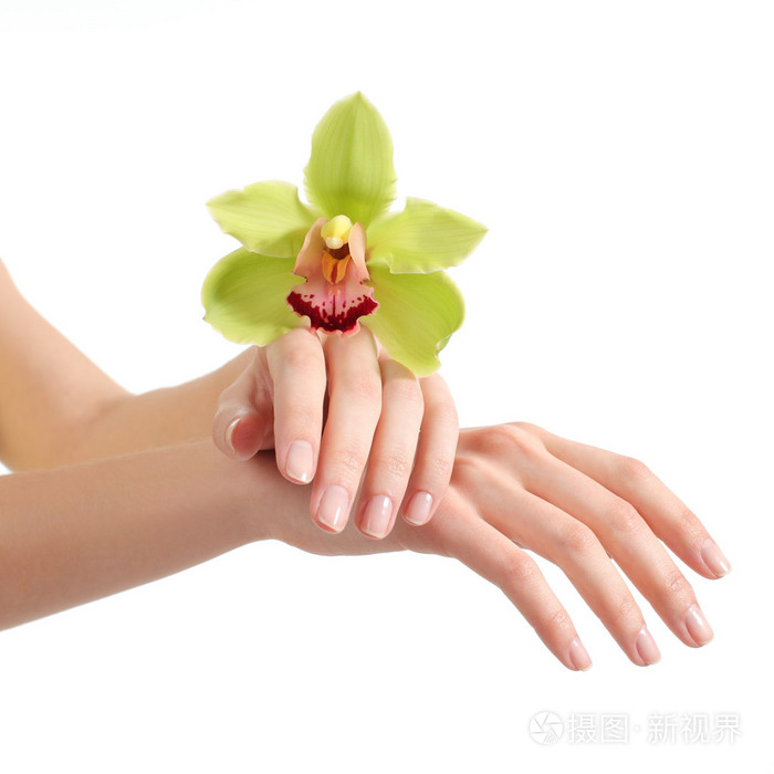 美丽的女人手中修指甲和绿色兰花