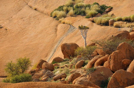 景观，spitzkoppe 纳米比亚