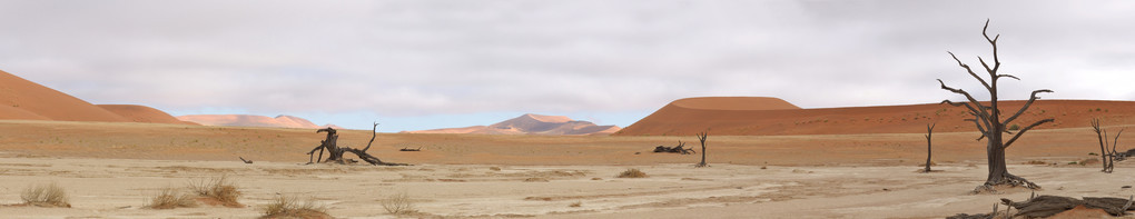 deadvlei 全景