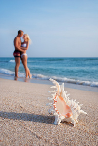 恩爱夫妻拥抱另一个反对大海砂海滩上