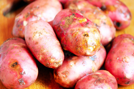 一堆的原始红土豆