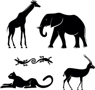 非洲動物