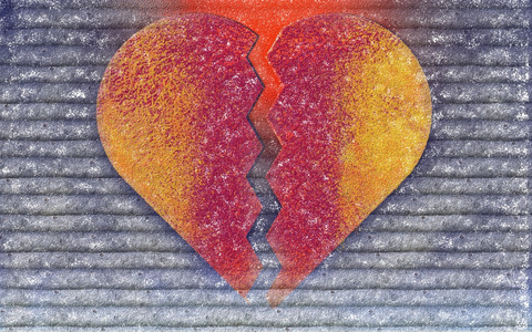 房子蜘蛛 archnida 的特写苋属有尾的花,大家知道的同样地爱谎言流血