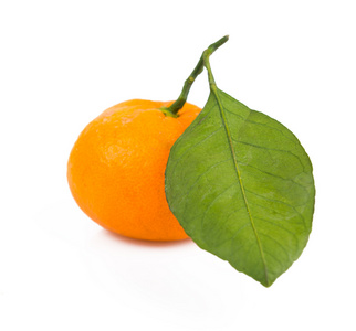 一个橘叶