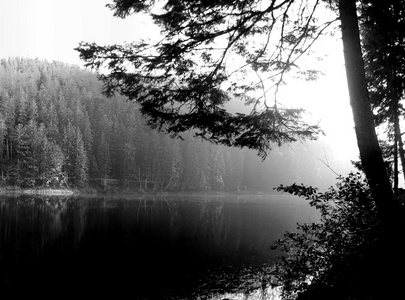 sinevir 湖上的雾的早晨