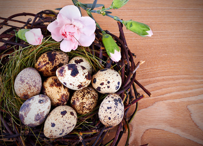 鹌鹑蛋和复活节巢里的花