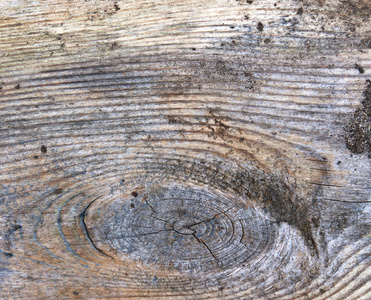 木材纹理与圈子