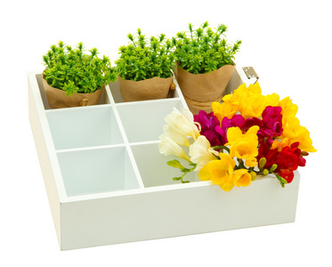 美丽的花朵在木盒上白色隔离安排