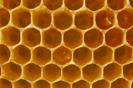 群集 纹理 蜂蜡 锤炼 有机 棕色 六角形