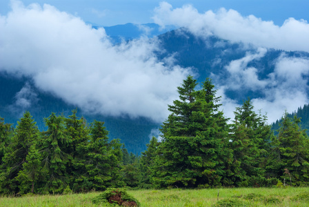 山区森林场景