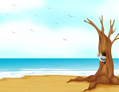 鸟在里面在海滨的空心树