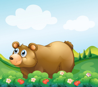 草莓园里一头棕色的熊