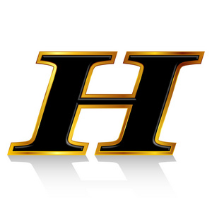 黑金色字母 h照片