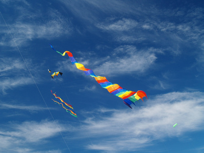在长滩风筝节在蔚蓝的天空中飞行的各种五颜六色的风筝
