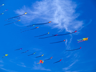 在长滩风筝节在蔚蓝的天空中飞行的各种五颜六色的风筝
