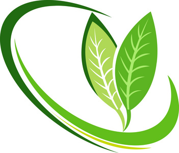 枫叶logo叶子 logo照片