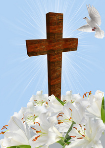 耶稣十字架鸽子图片图片