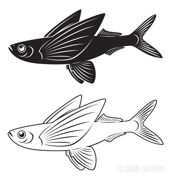 会飞的鱼插画-正版商用图片1bw3eg-摄图新视界