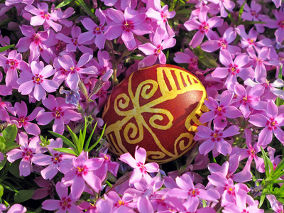 克罗地亚传统复活节彩蛋上粉色的花