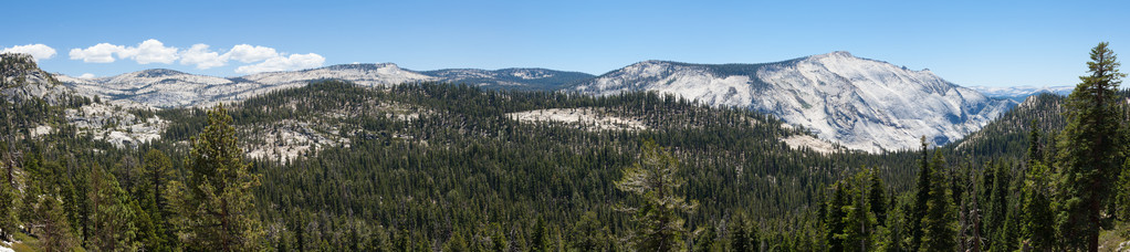 在加利福尼亚州优胜美地国家公园的全景视图