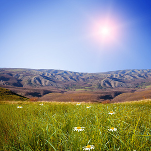 夏田与高山