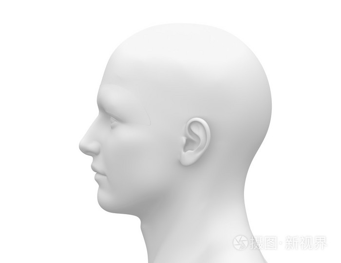 空白白色男头侧视图