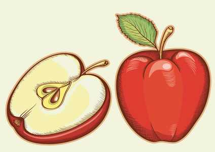 隔离设计的红色新鲜 apples.vector 图