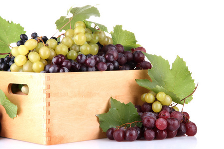成熟的甜葡萄在木箱里，隔绝对惠特的分类