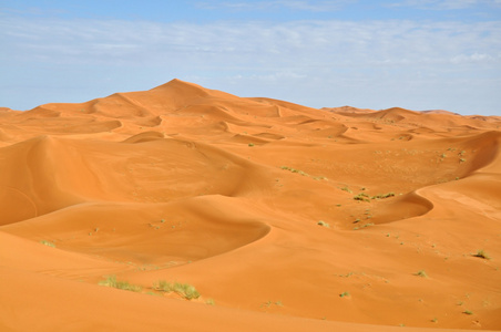 大沙漠