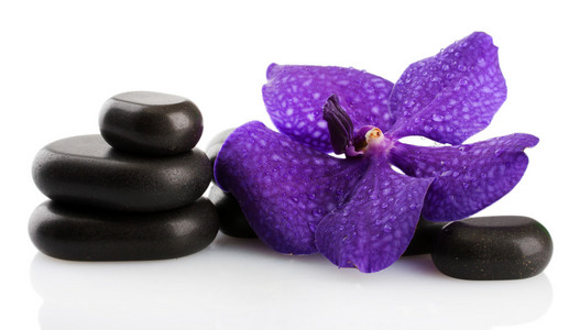 spa 石头和紫色的小花，白色上孤立