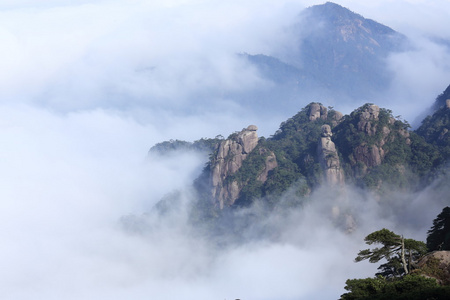 山的风景