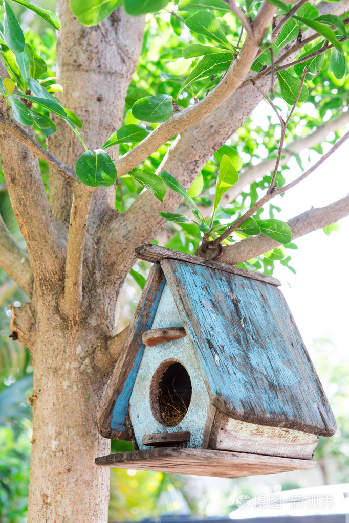 一棵树上的鸟房子