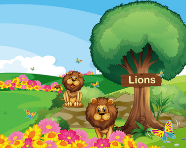 木制招牌花园里的两个狮子