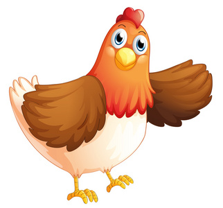 肥图片可爱一只肥母鸡照片