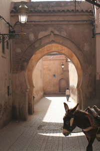 marakesh 与驴的门廊