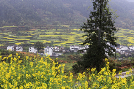 在春天的中国村