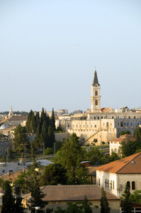 屋顶查看耶路撒冷巴勒斯坦以色列建筑蓝色圆顶