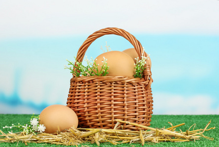 在草地上蓝色自然背景上篮子里的鸡蛋