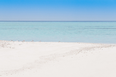 在海滩上的海浪