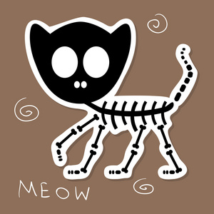 一个有趣的猫骨架的插图照片