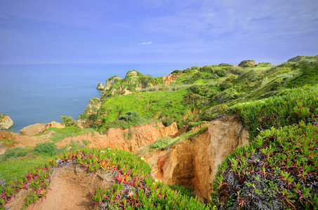 田园风景在葡萄牙阿尔加维海岸线